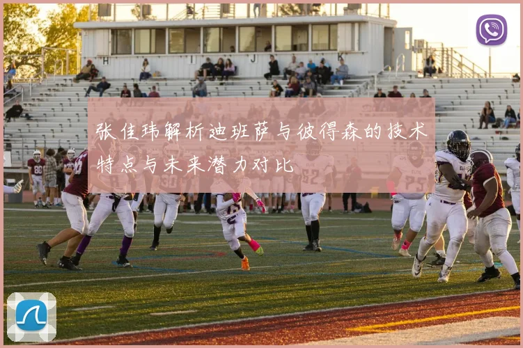 张佳玮解析迪班萨与彼得森的技术特点与未来潜力对比