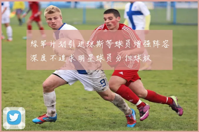 绿军计划引进琼斯等球员增强阵容深度不追求明星球员分担球权