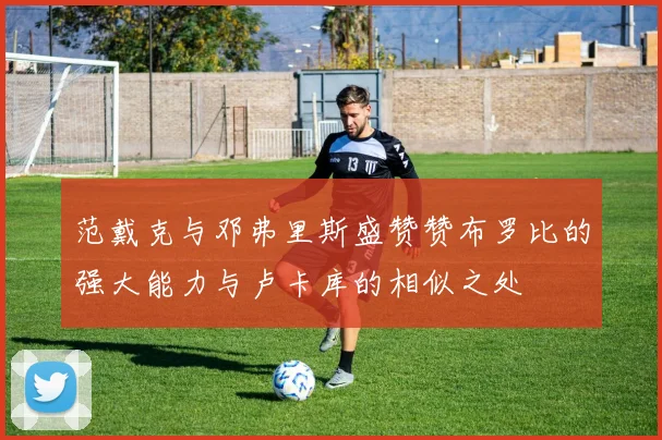 范戴克与邓弗里斯盛赞赞布罗比的强大能力与卢卡库的相似之处